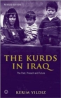 Image for The Kurds in Iraq  : the past, present and future