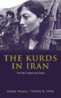 Image for The Kurds in Iran