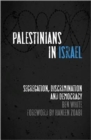 Image for Palestinians in Israel : Segregation, Discrimination and Democracy