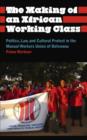 Image for The making of an African working class  : politics, law, and cultural protest in the Manual Workers Union of Botswana