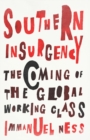 Image for Southern insurgency  : the coming of the global working class
