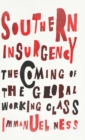 Image for Southern Insurgency : The Coming of the Global Working Class