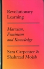 Image for Revolutionary Learning : Marxism, Feminism and Knowledge