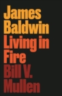 Image for James Baldwin  : living in fire