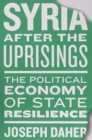 Image for Syria after the uprisings  : the political economy of state resilience