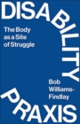 Image for Disability praxis  : the body as a site of struggle