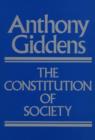Image for The Constitution of Society