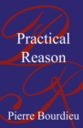 Image for Practical Reason : On the Theory of Action