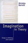Image for Imagination in theory  : essays on writing and culture
