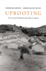Image for Uprooting  : the crisis of traditional agriculture in Algeria