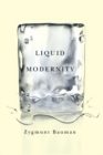 Image for Liquid modernity