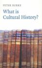 Image for What is cultural history?