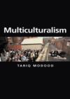 Image for Multiculturalism  : a civic idea