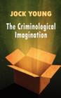 Image for The criminological imagination