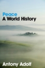 Image for Peace  : a world history