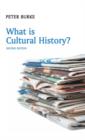 Image for What is Cultural History?