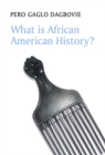 Image for What is African American History?