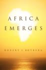 Image for Africa emerges  : consummate challenges, abundant opportunities