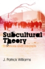 Image for Subcultural theory: traditions and concepts