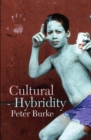 Image for Cultural hybridity