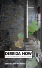 Image for Derrida now: current perspectives in Derrida studies