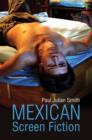 Image for Mexican screen fiction  : between cinema and television