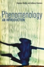 Image for Phenomenology: an introduction