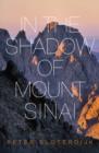 Image for In The Shadow of Mount Sinai