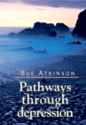 Image for Pathways through Depression