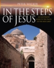 Image for In the steps of Jesus  : an illustrated guide to the places of the Holy Land