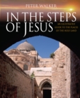 Image for In the steps of Jesus  : an illustrated guide to the places of the Holy Land