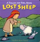 Image for Lost Sheep Touch and Feel