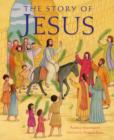 Image for The story of Jesus