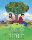 Image for Prayers from the Bible
