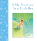 Image for Bible promises for a little boy