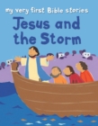Image for Jesus and the Storm