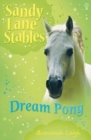 Image for Dream Pony