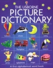 Image for The Usborne picture dictionary