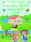 Image for Everyday Words in Irish : Sticker Book