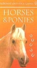 Image for Spotter&#39;s guide to horses &amp; ponies
