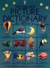 Image for The Usborne picture dictionary in French