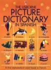 Image for The Usborne Picture Dictionary in Spanish