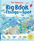 Image for The Usborne big book of things to spot