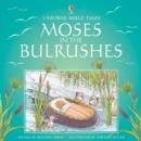 Image for Moses and the Bulrushes