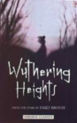 Image for Wuthering Heights  : from the story by Emily Brontèe