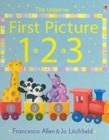 Image for The Usborne first picture 123