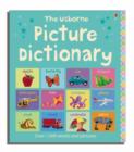 Image for The Usborne picture dictionary