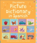 Image for The Usborne picture dictionary in Spanish