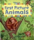 Image for Usborne first picture animals