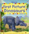 Image for Usborne first picture dinosaurs